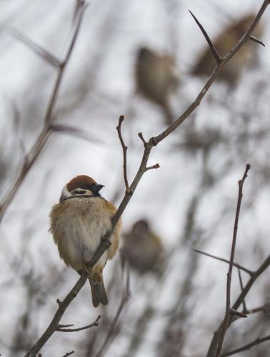 �������