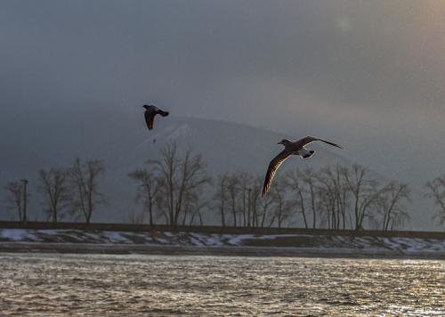 �� ������