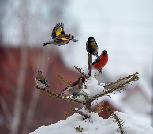 ������....