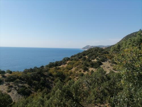 �������� ����