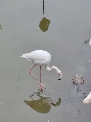 ��������-������� �����