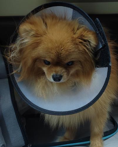 ��������... 