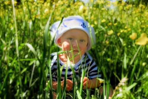 �������� ��������