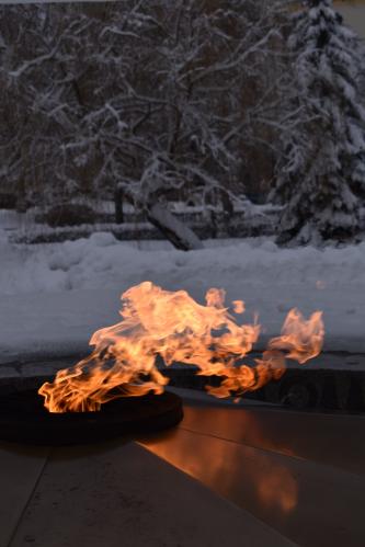 ������ ����� 