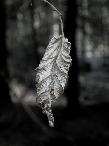 ������������ ����...