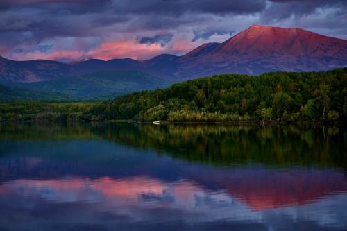 �����. �. ������� ������, ����. �������