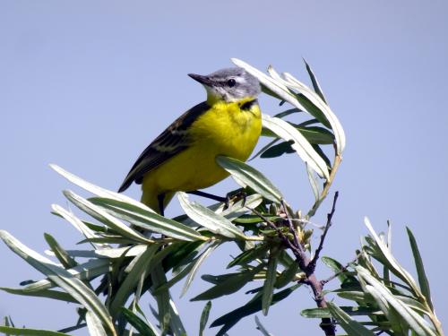 ������ �� �����.