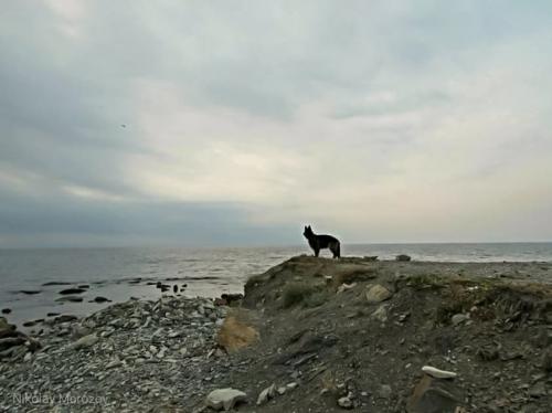 ������ �� ������ ����...