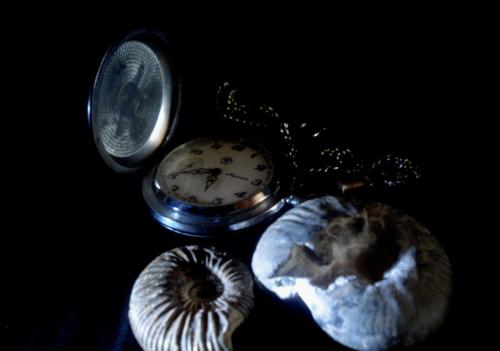 ������������ �������