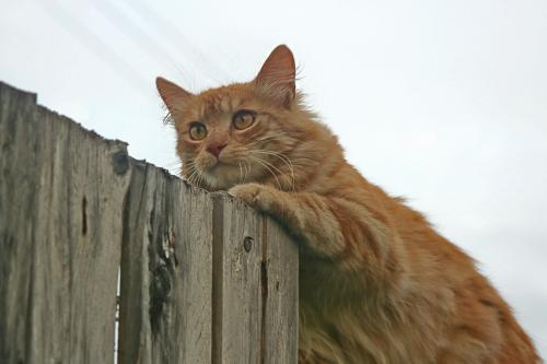 �������...