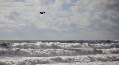 ��� �����