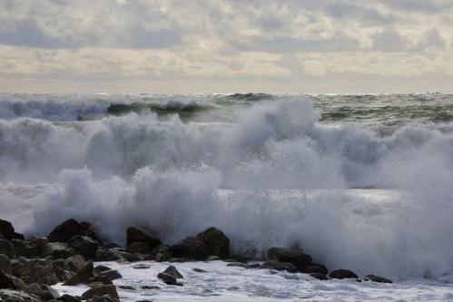 ������� ����