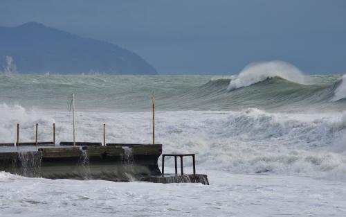 ��������� �����