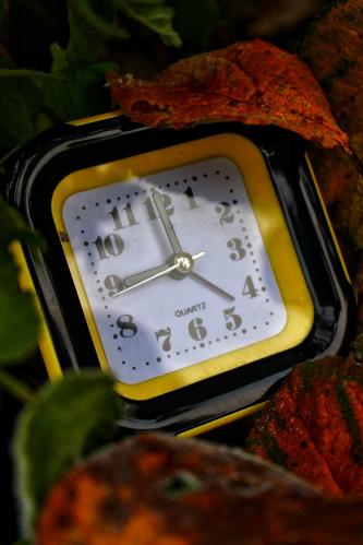 ������� �����