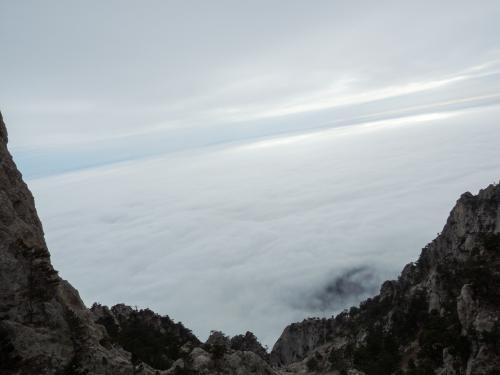 ��� �������� 