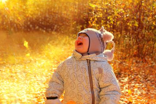 ���������� �����