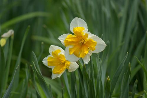 �������� � ���� ������� ))