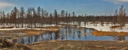 �������� ���