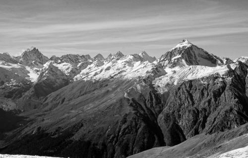 ������ .