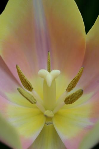 ������ ��������