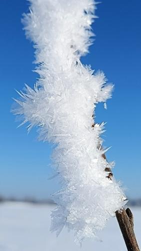 ����� �������� ����