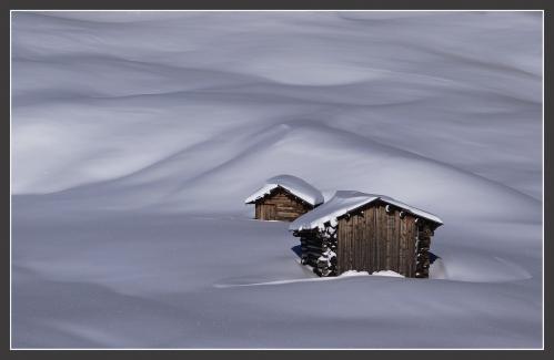 ������ �����������