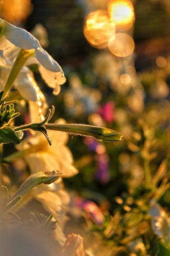 ������� � ������ 