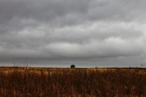 ��� �������, � �� ��������� 