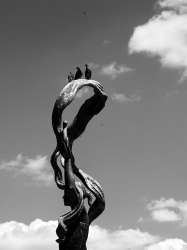 ������  ������