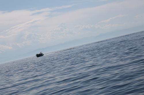 � ������� ������ �����!