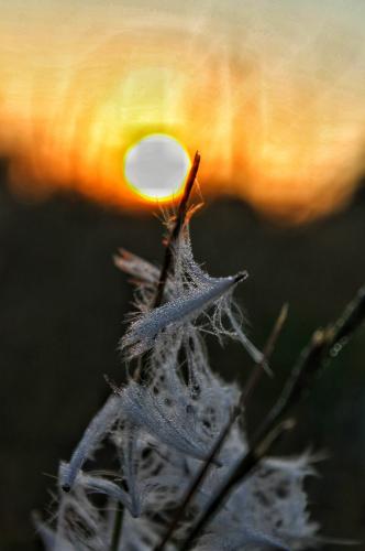 �� ��������