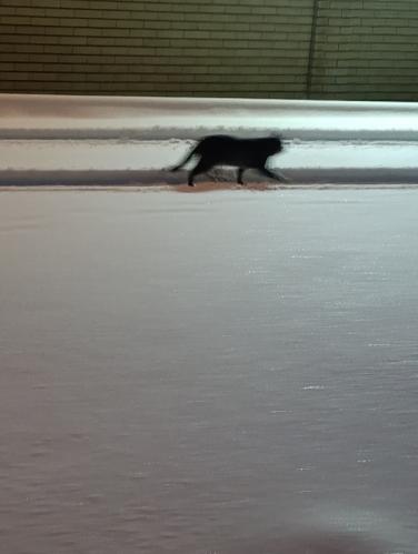 � ����� �� � ������