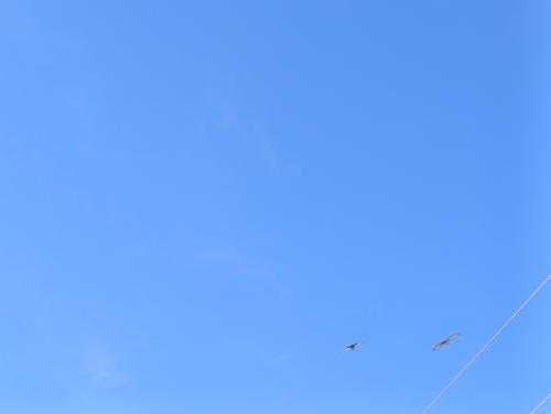 � ������