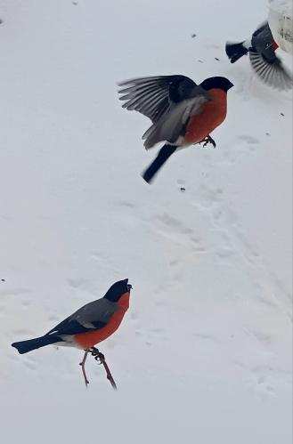 �������! 