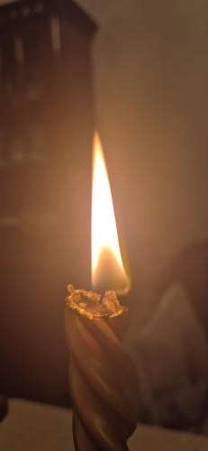 ���� ���� ��� �����