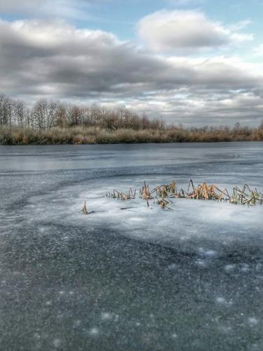 ������ ��� 