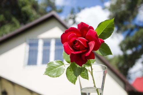 ���������� ����