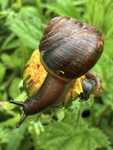 ���������������