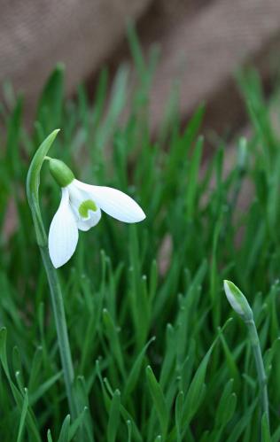 ������-��� � ���� ������