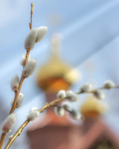 ������� �����������