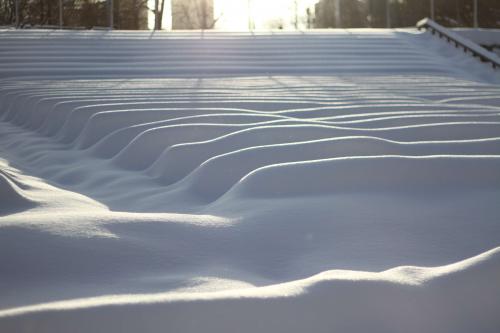 ������� ����