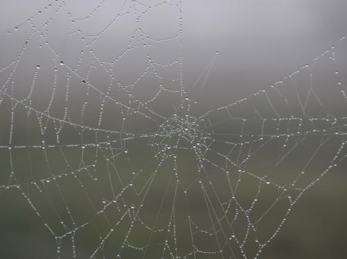 �������� ����