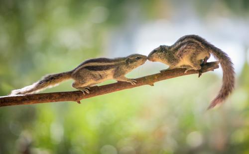 ��������� �����