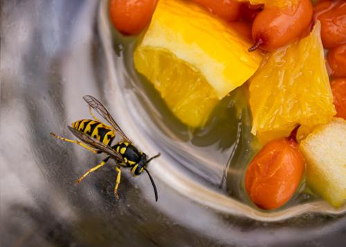 ������� �����