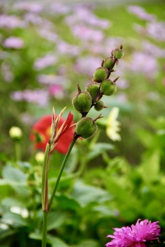 �������� �������� ������� ������