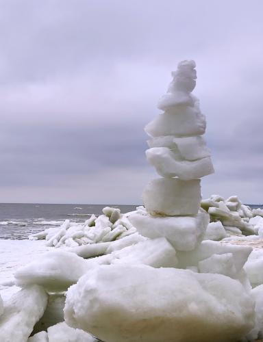 ���� �����