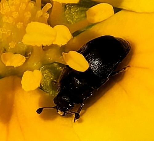 ��� �����, �� ��������