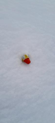 ��� �����?