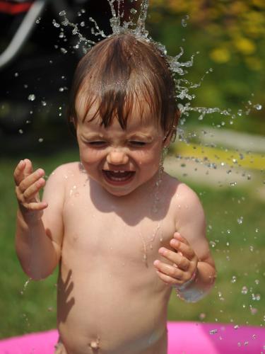 ����� �����...