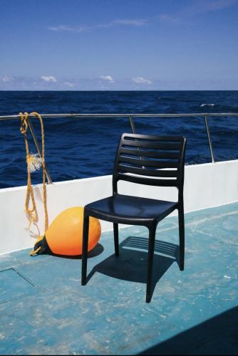 ������� ��������